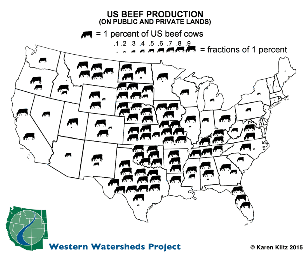 US Cows plain map 1024x853