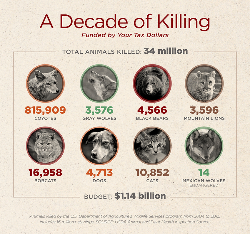 decade of killing