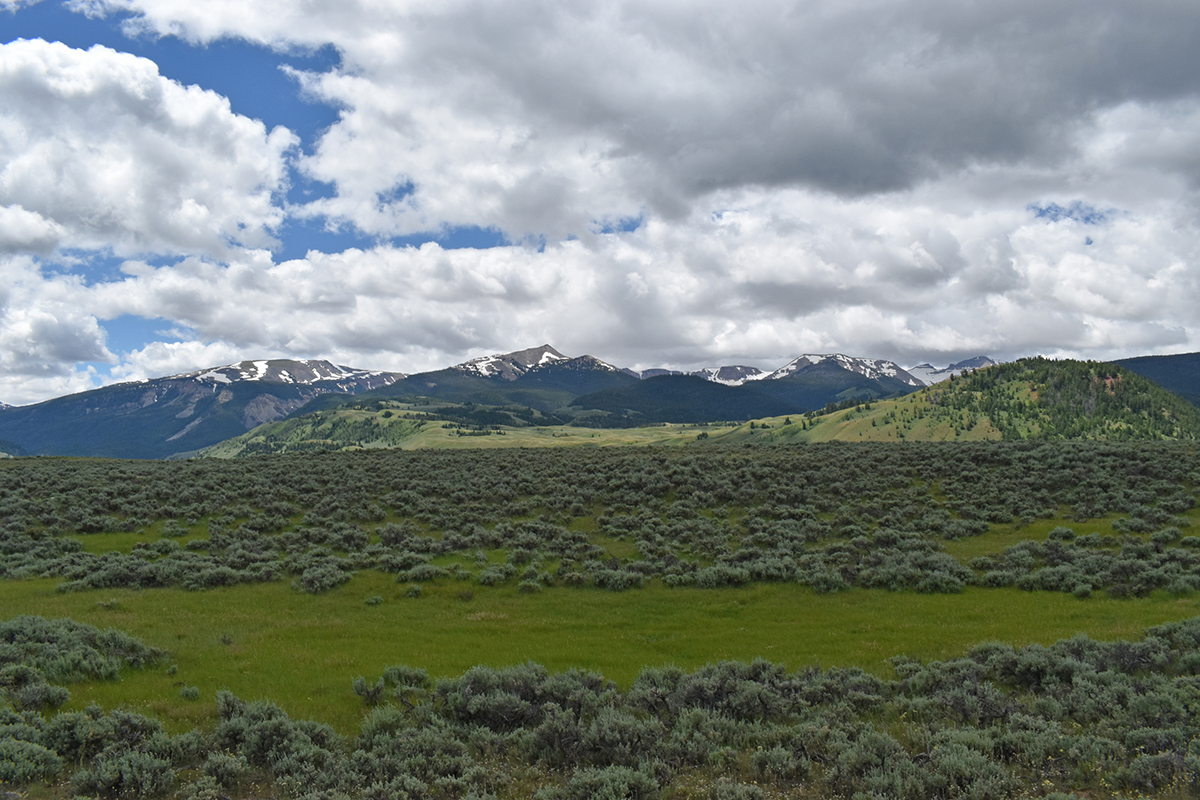 Slate Creek 2 Western Watersheds Project