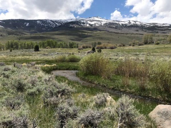 Protecting Watersheds - Western Watersheds Project