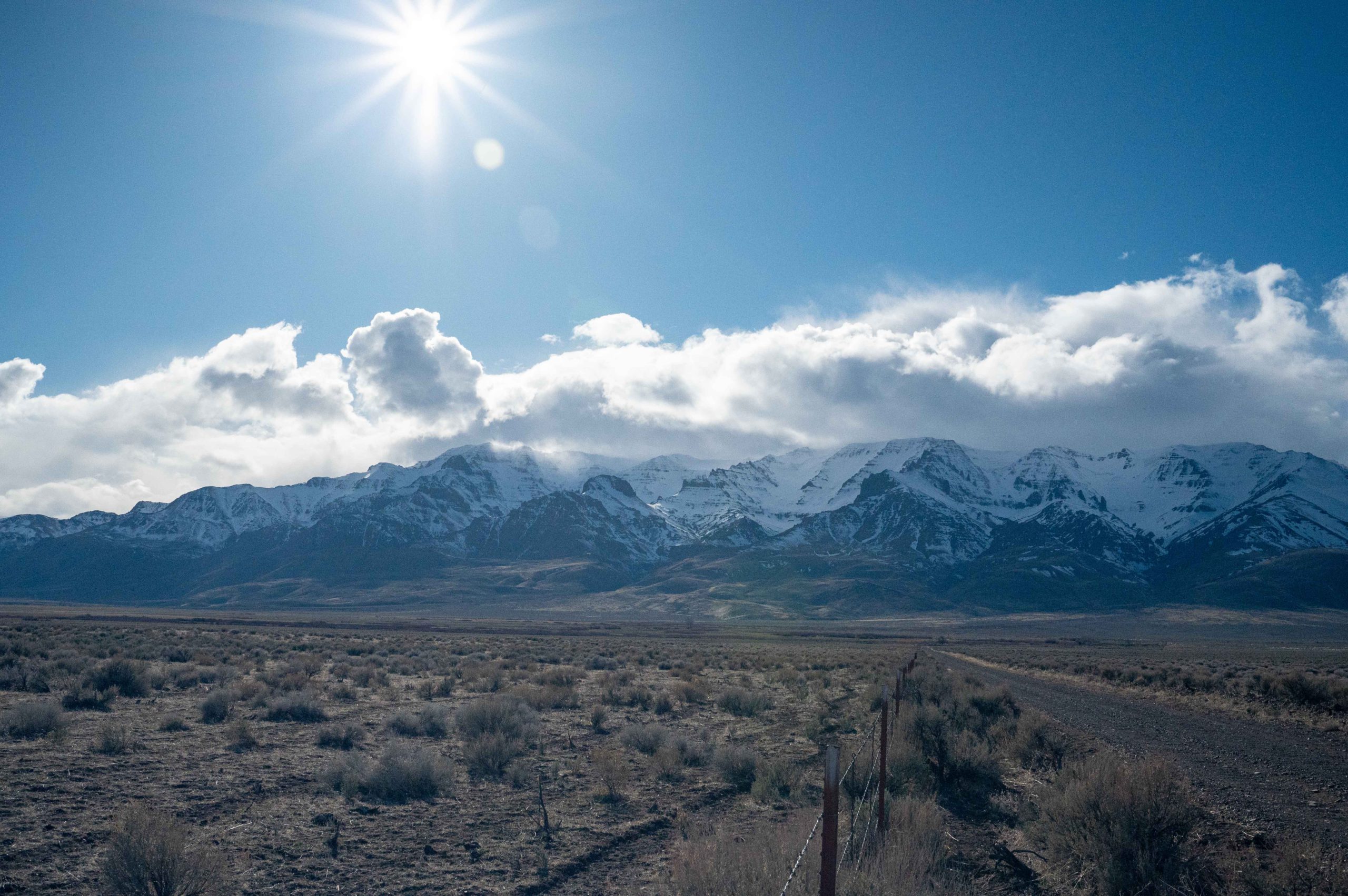 Conservationists Blast Bureau of Land Management for Proposal to ...