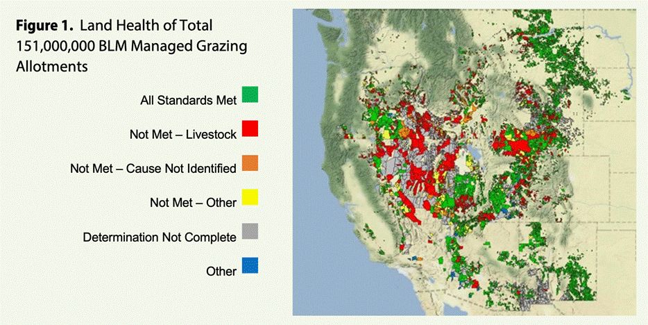 Lawsuit Demands BLM Step Up Range Health Protections Western